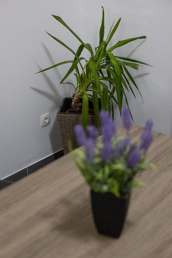 Apartman Toni Split Luaran gambar